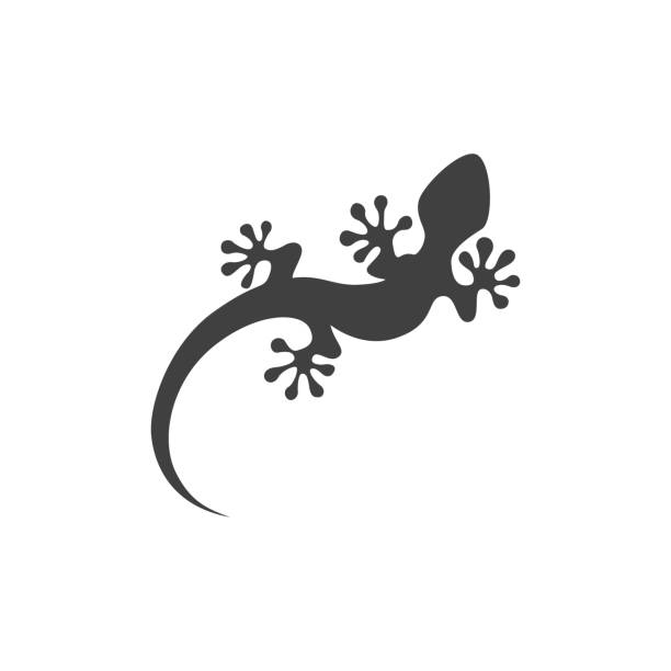 ilustraciones, imágenes clip art, dibujos animados e iconos de stock de ilustración aislada de vector de plantilla de diseño de icono de lagarto - salamandra