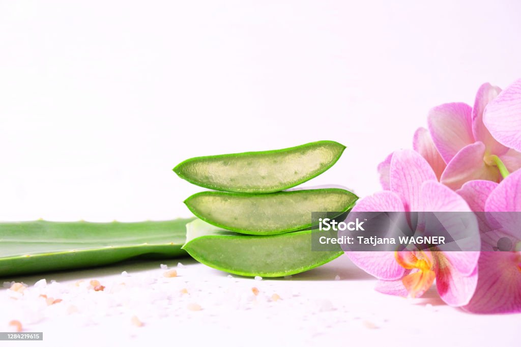Tre Pezzi Succosi Di Aloe Vera E Orchidea Phalaenopsis Su Sfondo Bianco -  Fotografie stock e altre immagini di Accudire - iStock