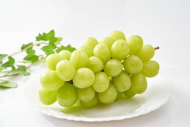 istock Shine Muscat as a gift 1284219840