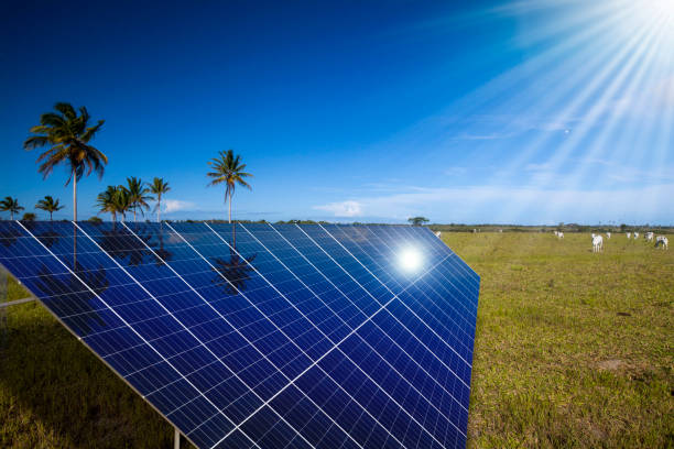 istock Sunset rays over a photovoltaic power plant 1284220978