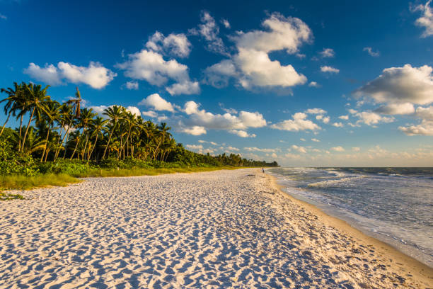istock Evening light at the beach in Naples, Florida 1284222570