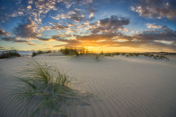 istock beach dunes with weeds at sunset 1284223973