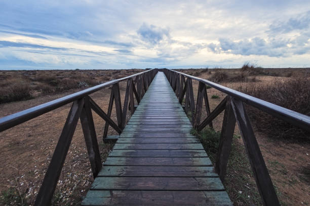 istock wooden bridge on the beach sand 1284224018