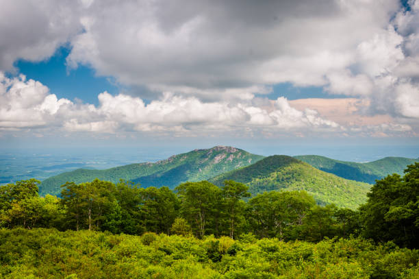 view of old rag mountain from thoroughfare overlook, on skyline drive, in shenandoah national park, virginia. - shenandoah national park imagens e fotografias de stock