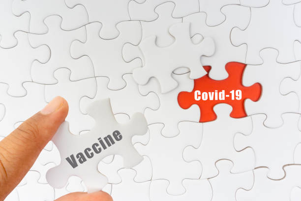 istock Hand holding jigsaw puzzle with text VACCINE and COVID-19 1284228755