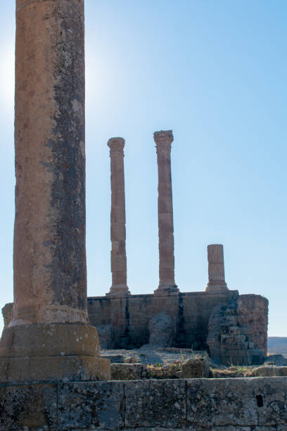 тимгад - timgad стоковые фото и изображения