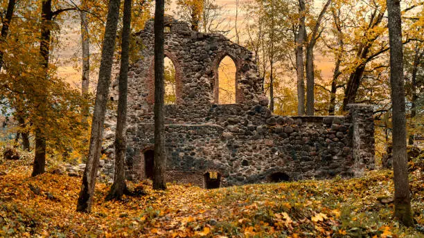 Photo of The Ruins of the 13th Century Krimulda Stone Castle  and Wall at Krimulda, Near Sigulda, Latvia, Europe