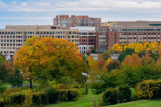 istock Fall foliage and modern buildings in Alexandria, Virginia 1284230195