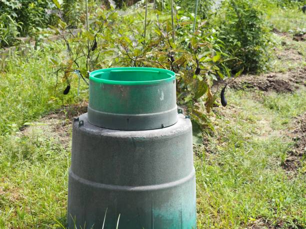 istock Waste food composting container in organic kitchen garden 1284230852