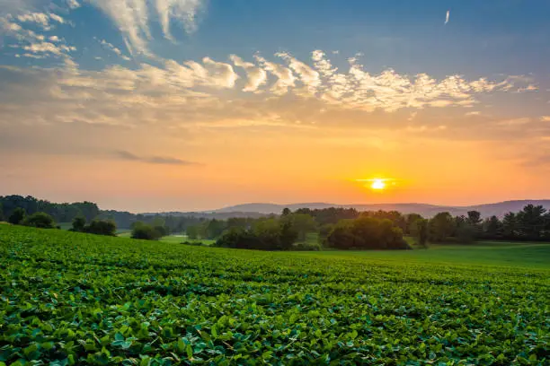 Incredible sunset sky over the Piegon Hills and farm fields, near Spring Grove, Pennsylvania.