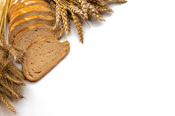 istock Rustic bread. Fresh loaf of rustic traditional bread with wheat grain ear or spike plant isolated on white background. Rye bakery with crusty loaves and crumbs. Concept - Cooking at Home. 1284232521