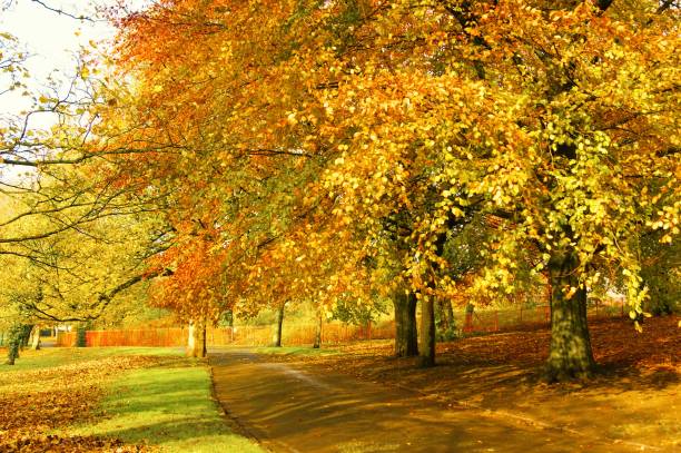 istock Colours Of Autumn. 1284232876
