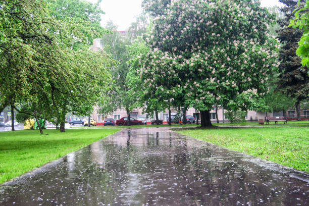 istock A heavy downpour in the Park. The puddles on the pavement. 1284232883