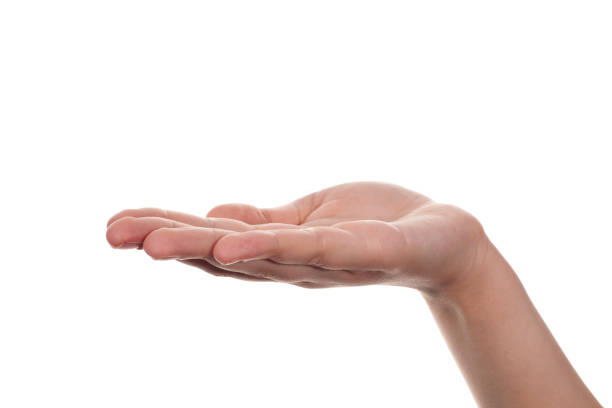 empty female hand on white background - hands open imagens e fotografias de stock