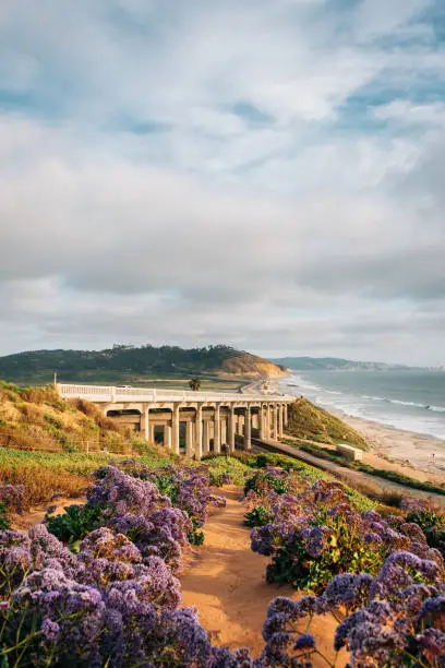 Photo of View of Torrey Pines Road and the Pacific Ocean in Del Mar, San Diego County, California