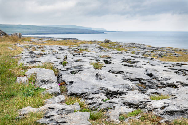 The Burren Limestone Pavement, County Clare, Ireland