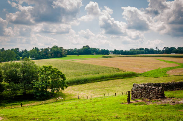 Summer view of farm fields in rural Baltimore County, Maryland stock photo
