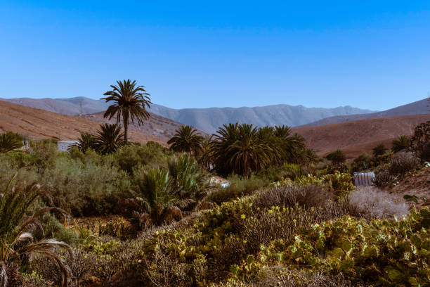 View into the valley of the former capital Betancuria of Fuerteventura.