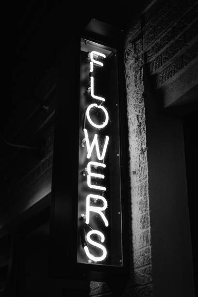 istock Flowers neon sign at night 1284238305