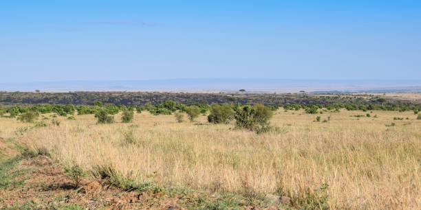 istock Kenya: landscape of maasai mara park 1284238431