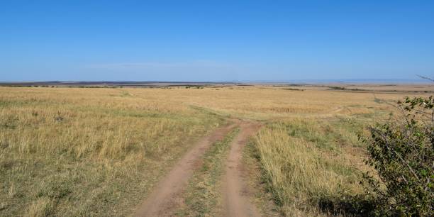 istock Kenya: landscape of maasai mara park 1284238514