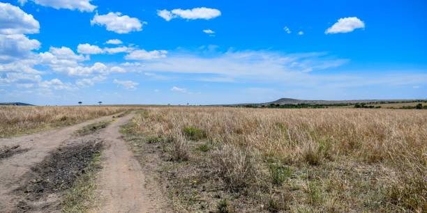 istock Kenya: landscape of maasai mara park 1284238611