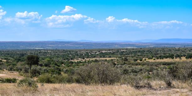 istock Kenya: landscape of maasai mara park 1284238739