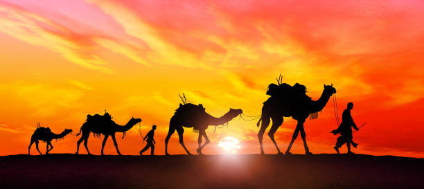 Camel caravan in desert at sunset - Image manipulation