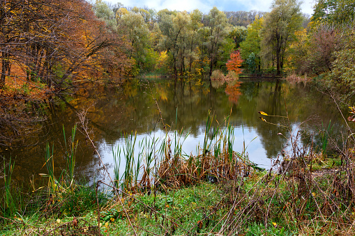 Beautiful autumn landscape of a forest lake with the reflection of bright trees in the water.
