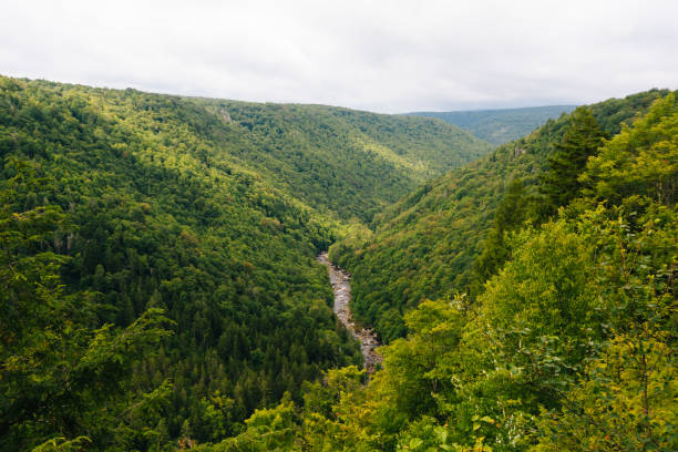 istock View from Pendleton Point, in Blackwater Falls State Park, West Virginia 1284240057
