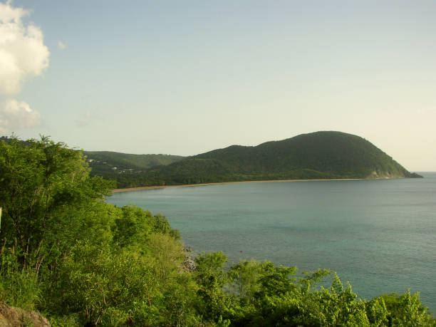 istock Grande Anse beach in Guadeloupe in the DOM 1284243657