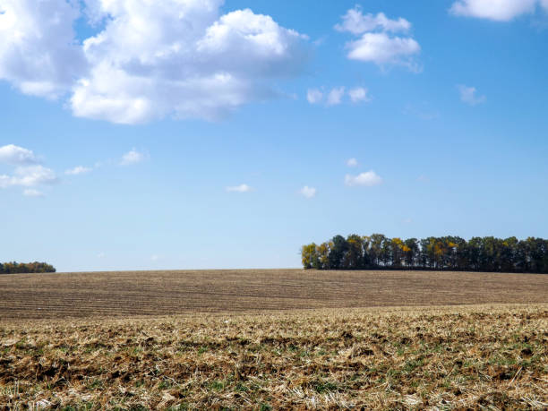 istock Land field landscape with blue sky 1284244979