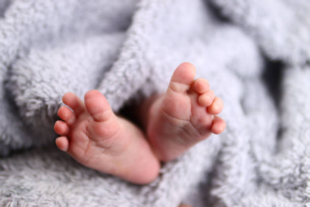 istock newborn baby's feet in a fluffy blanket 1284245845