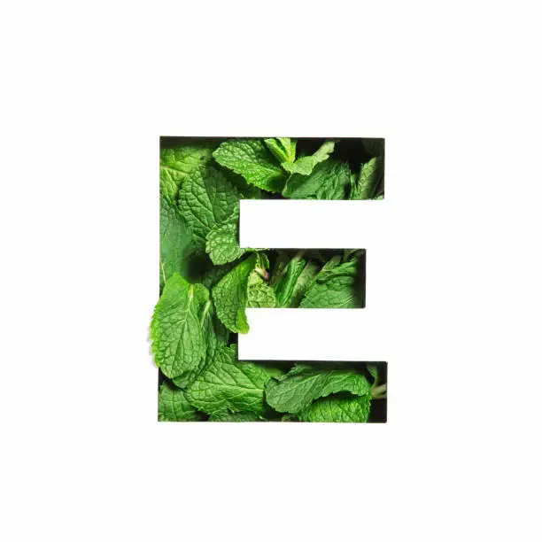 Letter E of English alphabet of green mint natural leafs and cut paper isolated on white. Leaves font. High quality photo