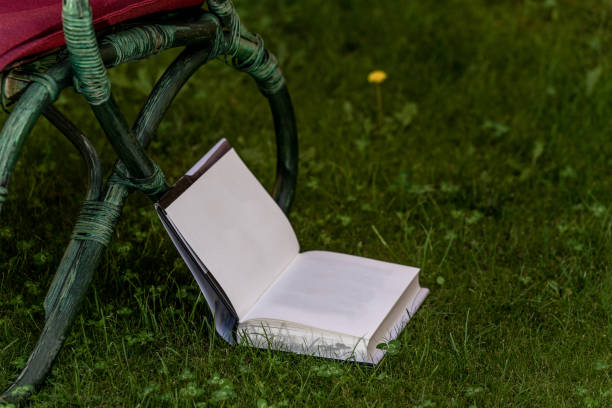 istock open book on the ground on grass, stacked on a chair 1284249816