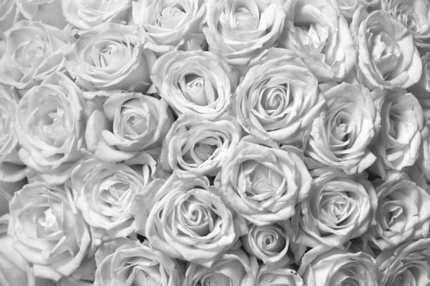 istock floral background with bouquet of white roses 1284250146