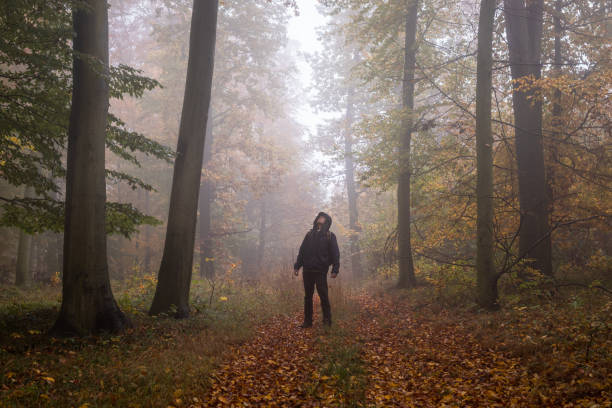 istock Man is looking for adventure in mystery forest 1284251410