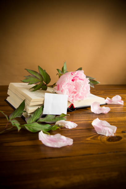 istock peony pink beautiful flower, book, empty card 1284255694