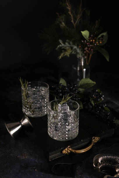 istock Preparing Gin and Tonic Cocktails in dark moody Bar setting 1284256006