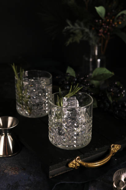 Preparing Gin and Tonic Cocktails in dark moody Bar setting