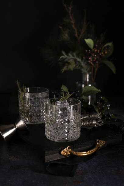 istock Preparing Gin and Tonic Cocktails in dark moody Bar setting 1284256033