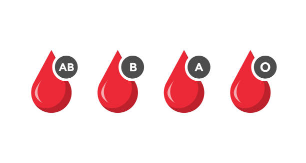 Blood Group O Positive Blood Types Stock Vector (Royalty Free) 1846733563