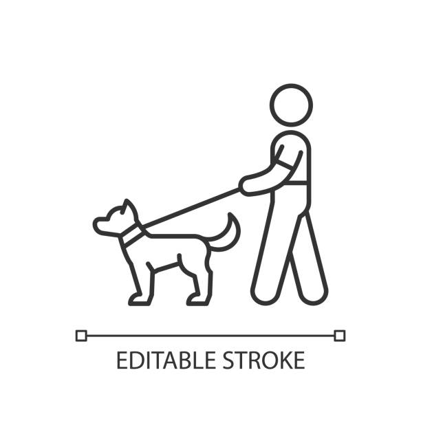 Dog walker linear icon Dog walker linear icon. Animal care. Taking pets out for daily exercise. Dog-walking. Thin line customizable illustration. Contour symbol. Vector isolated outline drawing. Editable stroke dog walking stock illustrations