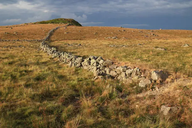 End of a summer day. Dry stone walls meander down a hill on the Route des Lacs (Lozère, France)