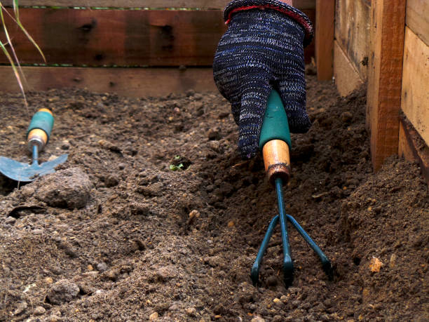 istock Gardener leveling dirt with a gardening fork 1284270412