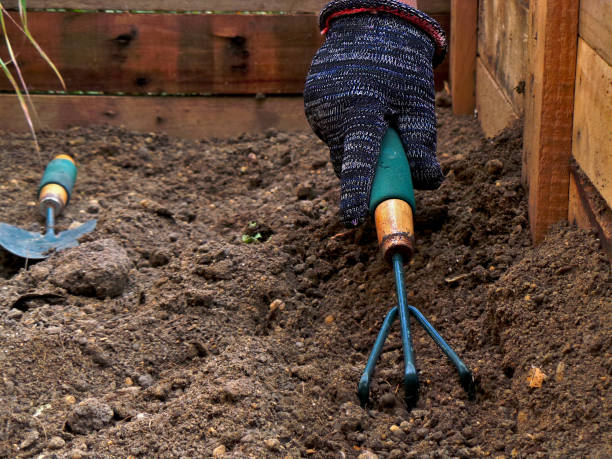 istock Gardener leveling dirt with a gardening fork 1284270417
