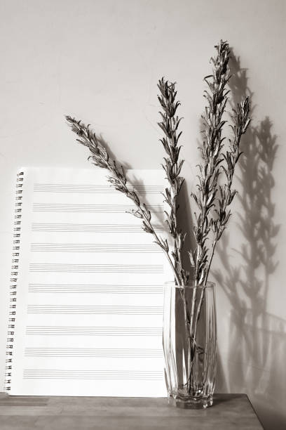 istock music book and silver twigs on white background 1284272437