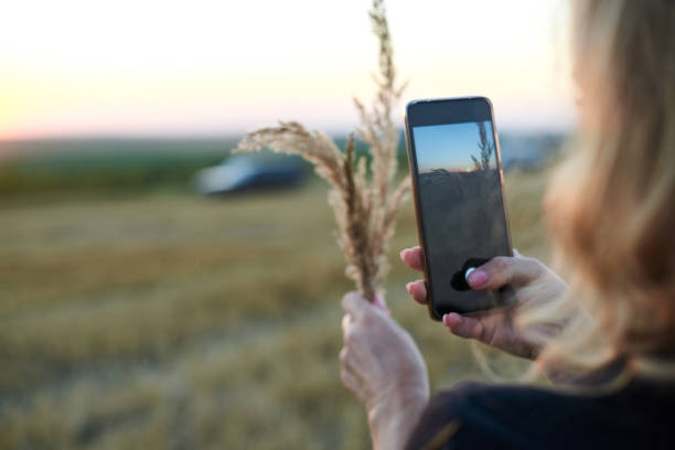 istock Female portrait on wheat field with bales 1284273633