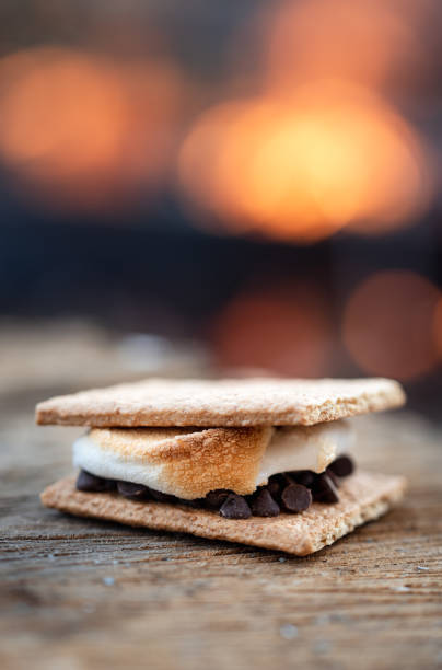 istock Close up of s'more in front of campfire with blurred background. 1284273732
