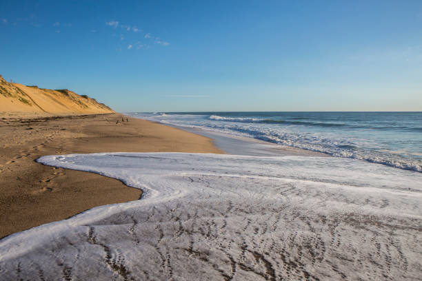 Close-up of seafoam waves lapping the beach sand at Whitecrest Beach